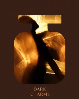 Dark Charms | Mājas smaržas 200 ml | BRONZE
