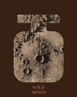 Wild Moon | Mājas smaržas 200 ml | BRONZE